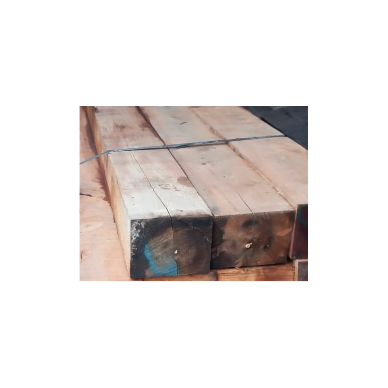 ROBLE O COIGUE VERDE BRUTO