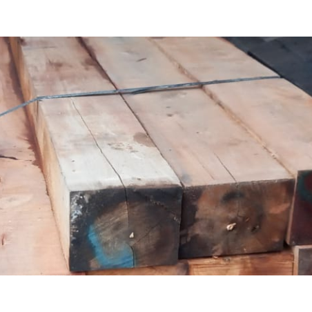 ROBLE O COIGUE VERDE BRUTO